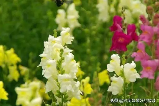 這段話,送給整日奔波的你