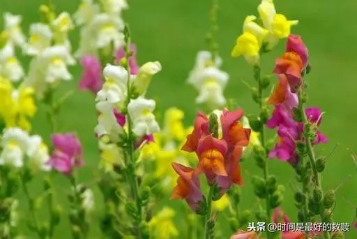 這段話,送給整日奔波的你