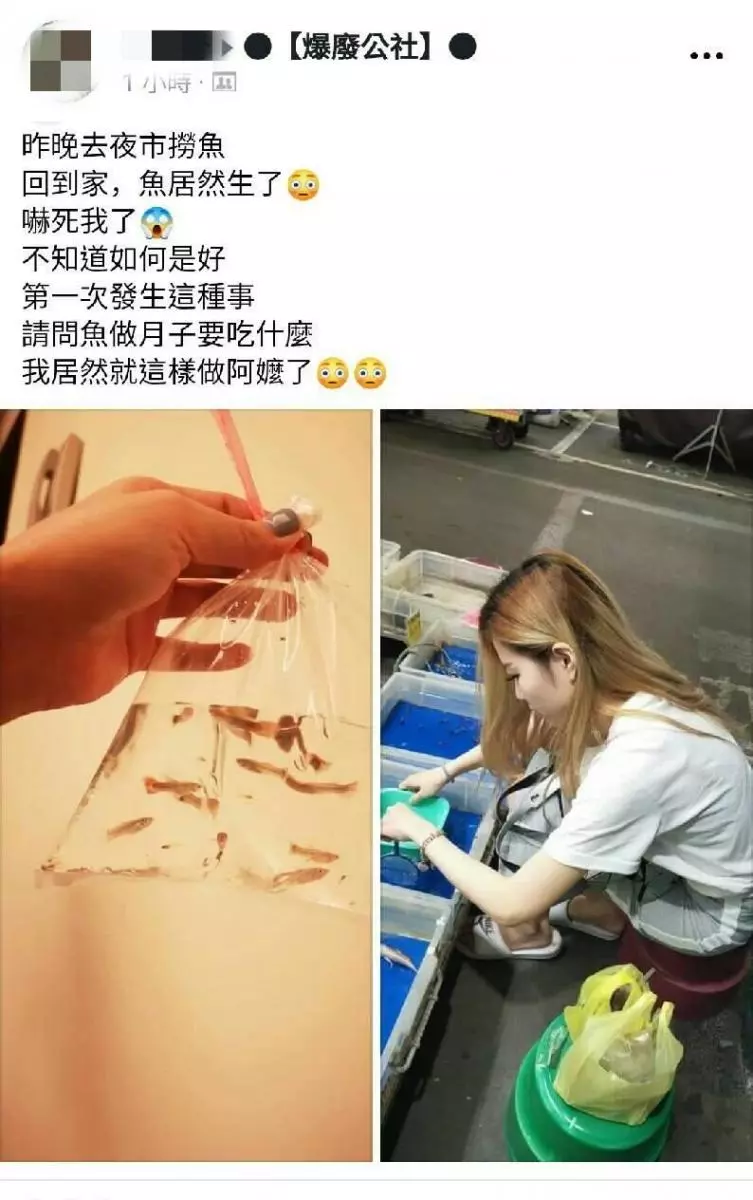 「一通電話3600」女兒豪爽地說要請阿公吃飯,還來不及反應,錢就這麼飛了!