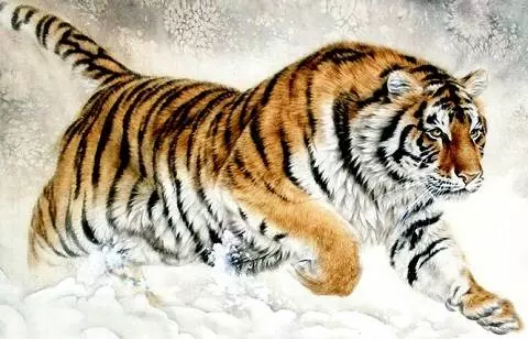 八大生肖:7號抬頭見喜,8號有望中獎,9號低頭撿錢