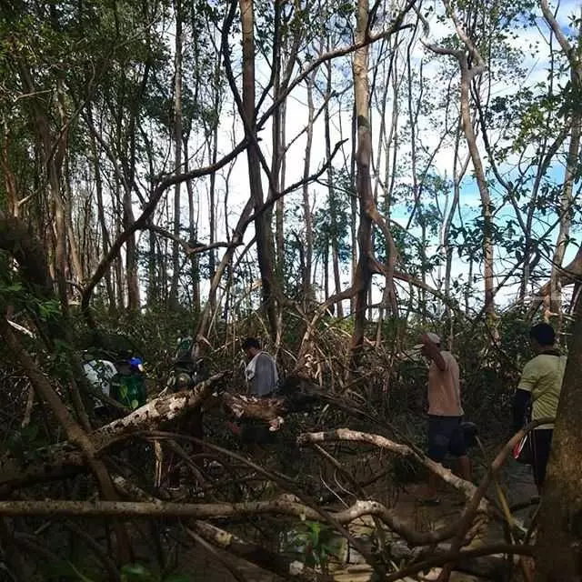 科學家在亞馬遜叢林發現了一具座頭鯨的屍體,目前是無法解釋的謎題!