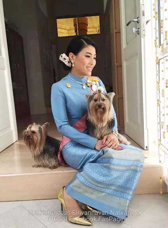 泰國小公主邀請「狗狗」坐沙發,卻讓主持人跪坐地上,這也太沒尊嚴了!