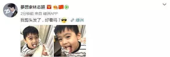 林志穎和4歲雙胞胎兒子留同款髮型,凱凱濃眉大眼雙眼皮像爸爸