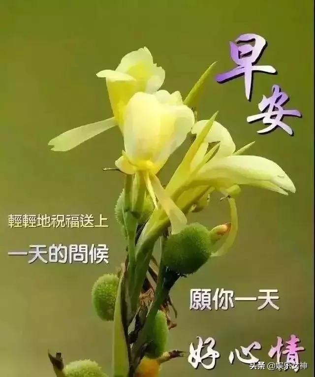 超漂亮的早安問候祝福語圖片,早安漂亮圖片問候祝福語送你