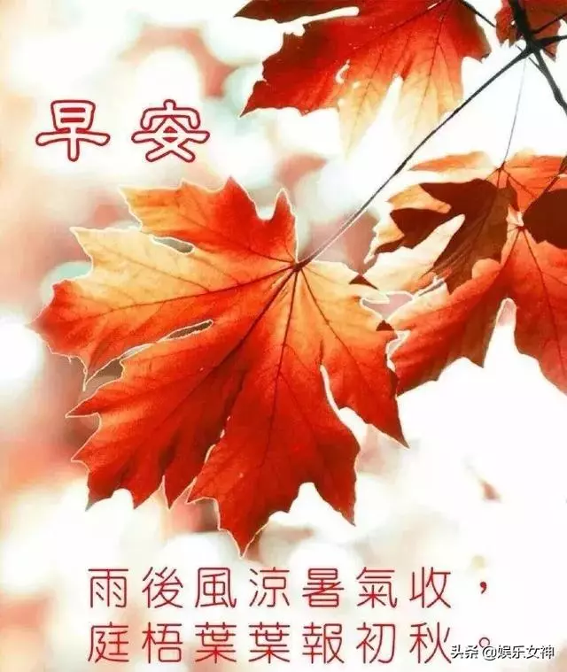 超漂亮的早安問候祝福語圖片,早安漂亮圖片問候祝福語送你