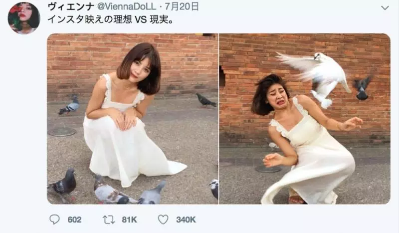 架相機拍生態…反被老鷹亂入自拍! 傻萌表情網笑翻:梗圖比賽開始囉~