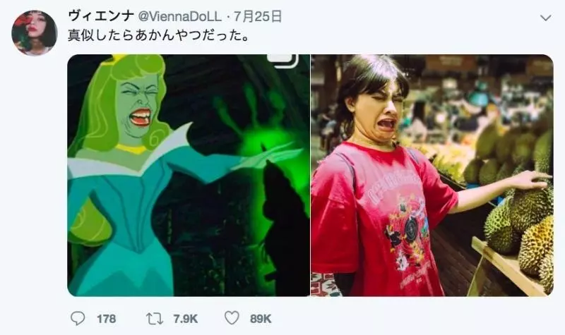 架相機拍生態…反被老鷹亂入自拍! 傻萌表情網笑翻:梗圖比賽開始囉~