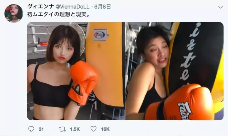 架相機拍生態…反被老鷹亂入自拍! 傻萌表情網笑翻:梗圖比賽開始囉~