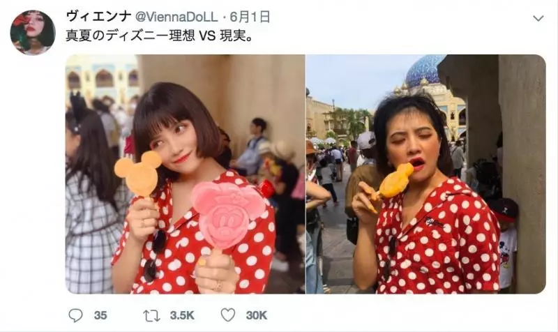 架相機拍生態…反被老鷹亂入自拍! 傻萌表情網笑翻:梗圖比賽開始囉~