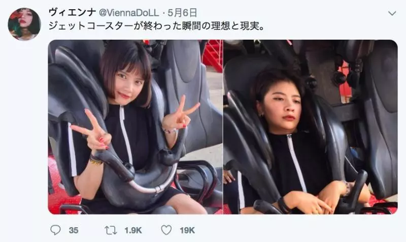 架相機拍生態…反被老鷹亂入自拍! 傻萌表情網笑翻:梗圖比賽開始囉~