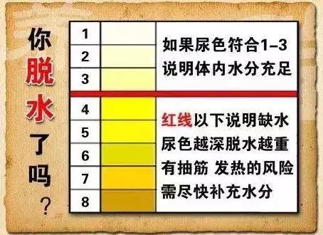 早上起床第一口水怎麼喝?2種水千萬別喝!毀腎、毀胃、毀血管!