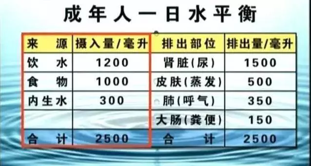 早上起床第一口水怎麼喝?2種水千萬別喝!毀腎、毀胃、毀血管!