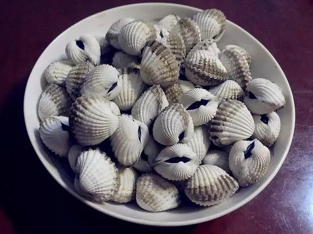 開胃又下飯14道炒蚶子,一次做5斤真解饞,比外面賣的好吃多了