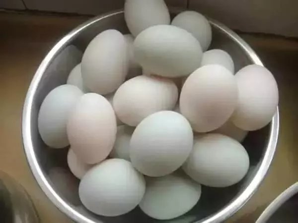媽媽怎麼把雞蛋一個一個打進製冰盒內?得知真相後,你會發現這真的太神啦!