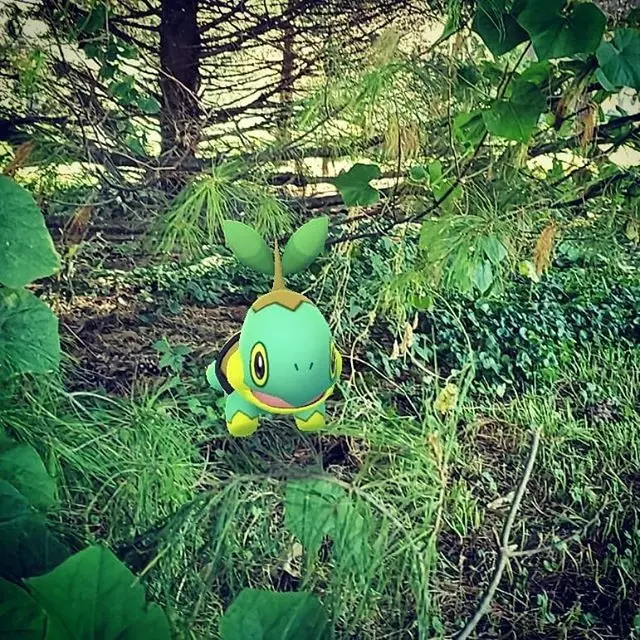 Pokemon GO 10月社群日主角----大顎蟻,預計 10 月 12 日登場!
