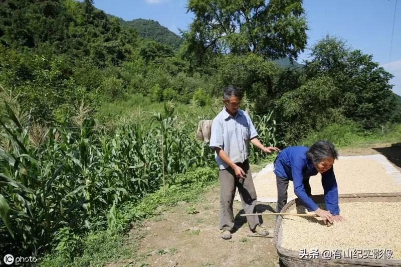 54歲孝子為90歲盲母「20年不出深山」每天牽手散步,結婚條件「與母同住」至今單身54年:仙女來都沒用!