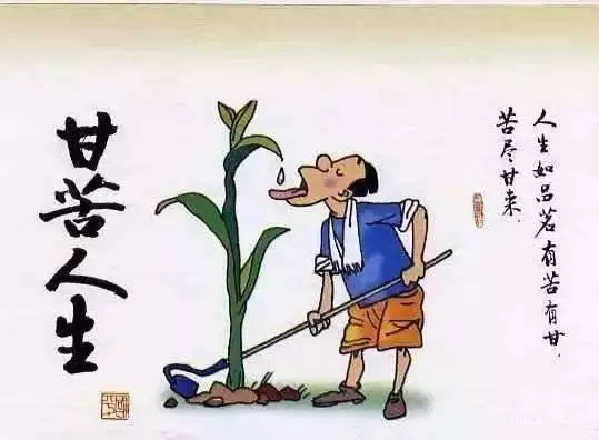 受過窮吃過苦,命格先苦後甜的4個生肖!