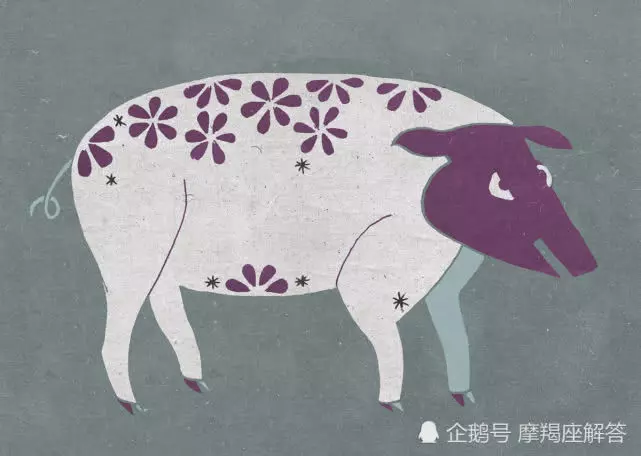 12生肖,你最大的嗜好是什麼?