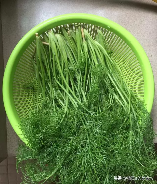 它是蔬菜,但價格比肉都貴,健胃散寒,促消化,碰上了就不要錯過