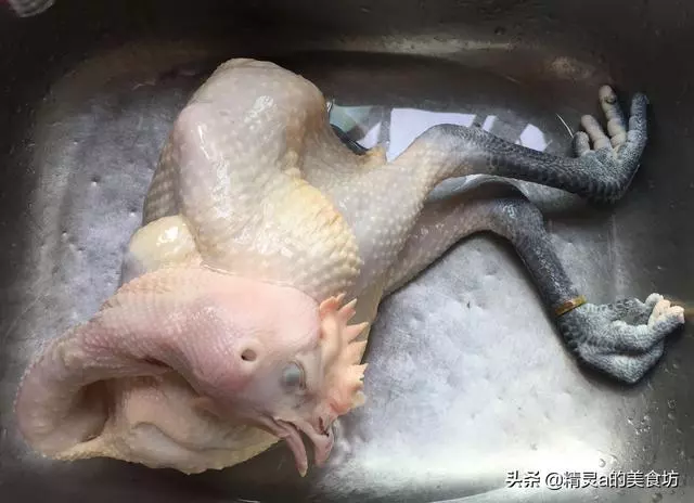 雞肉和它是天生一對,營養滋補不上火,每周吃一回,吃出好氣色