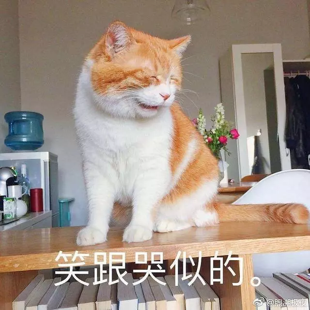養狗的朋友請注意,這種東西比巧克力還毒,已導致上千隻狗亡