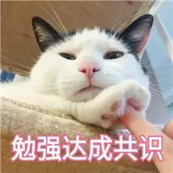 養狗的朋友請注意,這種東西比巧克力還毒,已導致上千隻狗亡
