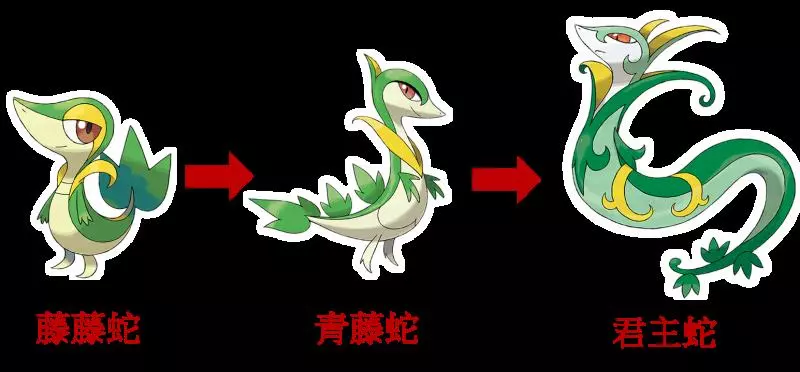【Pokemon Go】君主蛇、炎武王、大劍鬼,第五代御三家,值得鍛鍊與投資吧!