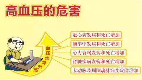 高血壓不能吃這12種食物!會越吃越高,血壓容易坐上過山車!