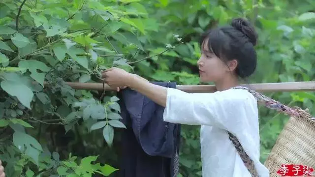 從月薪300到年入過億,李子柒順天改命的背後,只是幸運嗎?