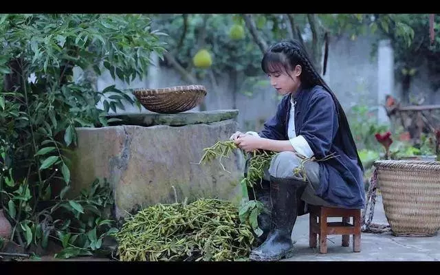 從月薪300到年入過億,李子柒順天改命的背後,只是幸運嗎?