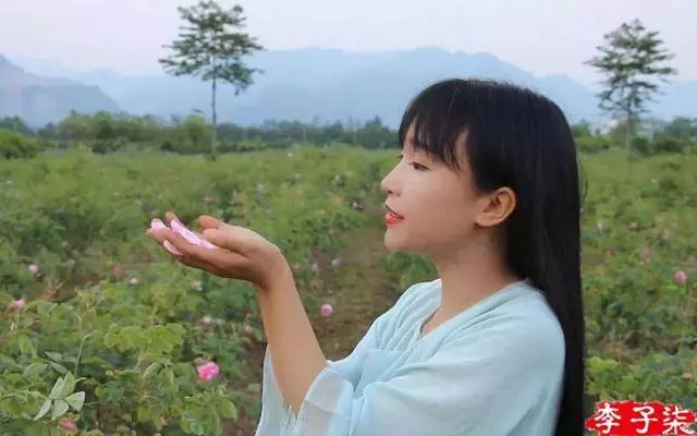 從月薪300到年入過億,李子柒順天改命的背後,只是幸運嗎?