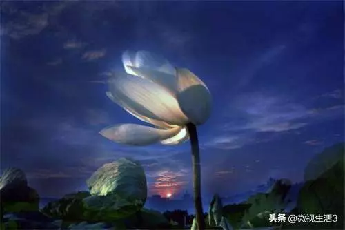佛說:「人生最大的善,是懂得因果!」