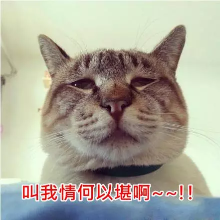 女友竟在捷運上不小心大聲說出「昨晚OO時吃到毛」還好我機智,立刻一句話神救援!
