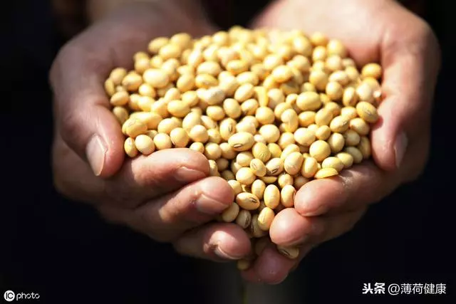 高效瘦身飲食法:這樣調控營養素比例,既養生又瘦身!(收藏)