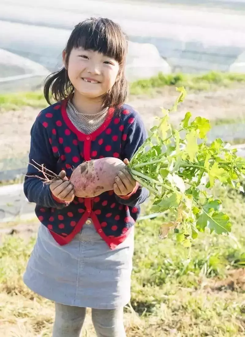 爆改爺爺130年老宅,把女兒當女漢子養,日本媽媽帶領一家人回鄉種田的生活,卻讓許多人蠢蠢欲動
