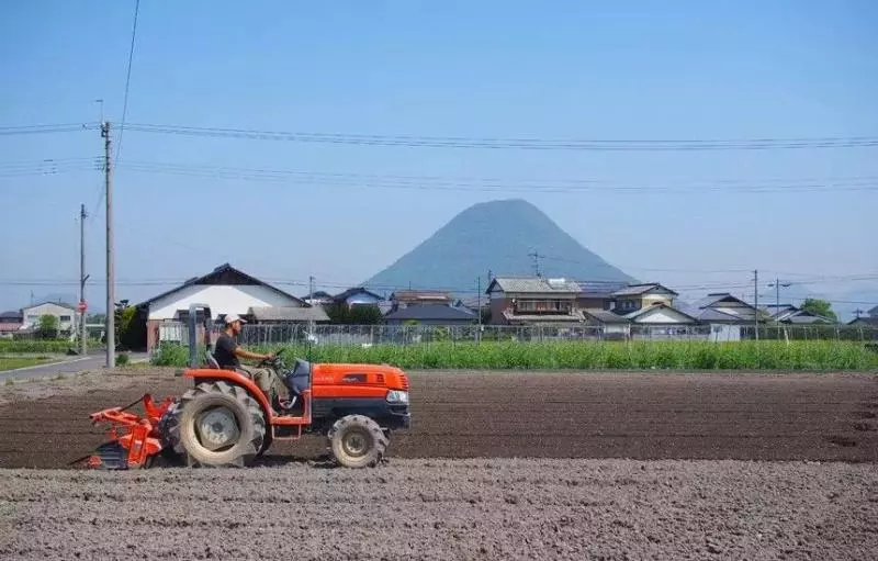 爆改爺爺130年老宅,把女兒當女漢子養,日本媽媽帶領一家人回鄉種田的生活,卻讓許多人蠢蠢欲動