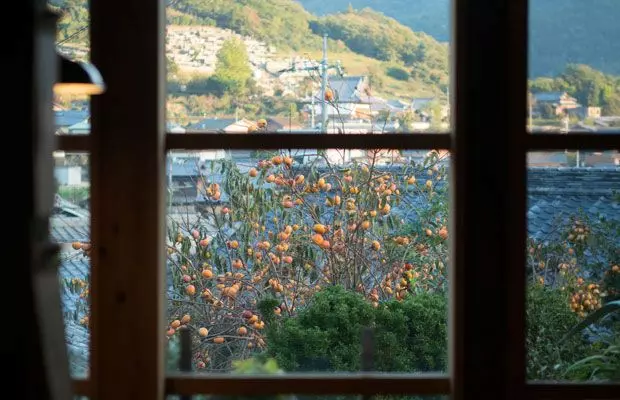 爆改爺爺130年老宅,把女兒當女漢子養,日本媽媽帶領一家人回鄉種田的生活,卻讓許多人蠢蠢欲動