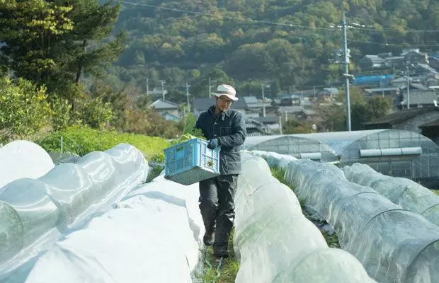 爆改爺爺130年老宅,把女兒當女漢子養,日本媽媽帶領一家人回鄉種田的生活,卻讓許多人蠢蠢欲動