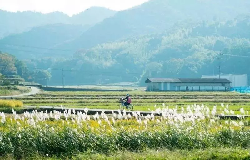 爆改爺爺130年老宅,把女兒當女漢子養,日本媽媽帶領一家人回鄉種田的生活,卻讓許多人蠢蠢欲動