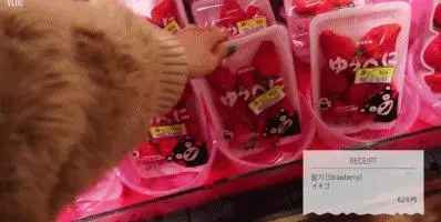 韓國單身女孩在日本打工,私生活曝光引萬人圍觀:一個人漂著,爽