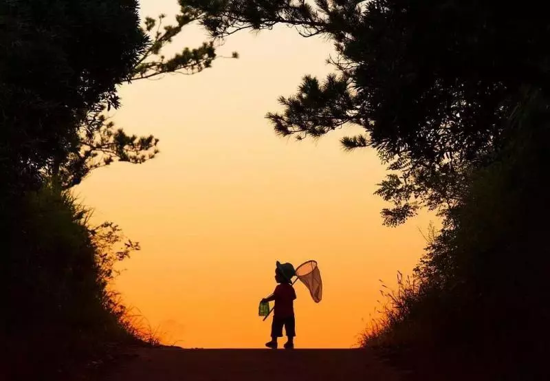 日本攝影師曝光兒子私房照,背景卻意外走紅:這才是我們嚮往的夏天