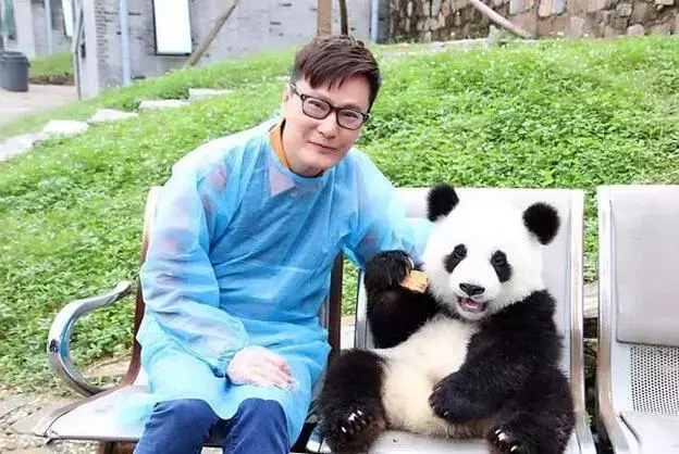 40年傾資百萬救治流浪貓狗,他是情歌王子也是愛心大使!他說:它們是生命,不是玩具