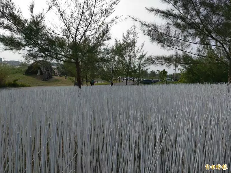 宜蘭下雪了? 10萬根白竹籤插沙丘上 地景藝術美翻!