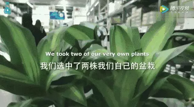 50000人一遇的無臉症,被同學嘲笑,卻在25歲時活成了天使