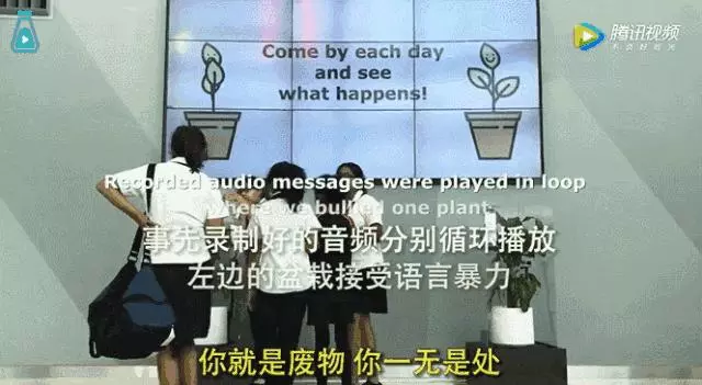 50000人一遇的無臉症,被同學嘲笑,卻在25歲時活成了天使