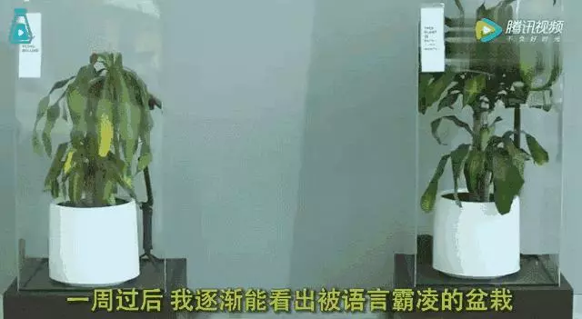 50000人一遇的無臉症,被同學嘲笑,卻在25歲時活成了天使
