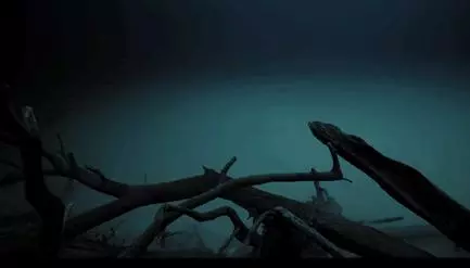 視頻輕鬆破億,連Beyonce都請他們拍MV,潛水大神和舞蹈家的神仙CP組合,也太絕了