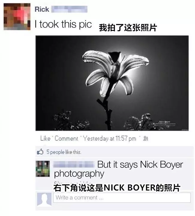 超爆笑!《10張被拆穿的假掰照》,臉被打得好腫啊…