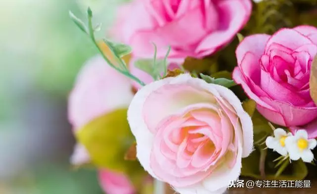做人,長點心,懂點事,靠點譜