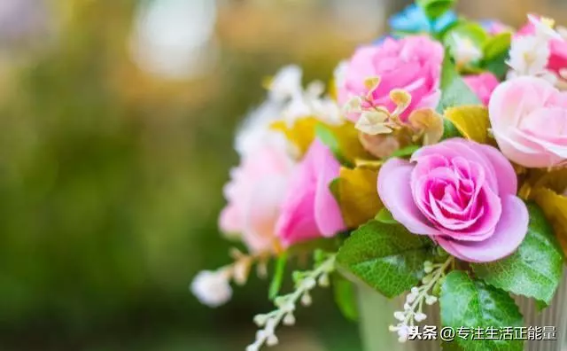 做人,長點心,懂點事,靠點譜
